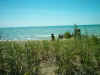 beach_sitting.jpg (140214 bytes)