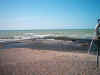 beach.jpg (23015 bytes)