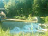 fish_dam.jpg (142903 bytes)